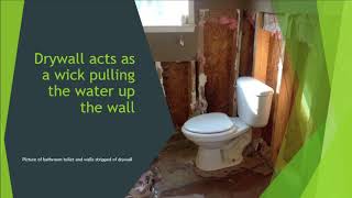 Failed Water Line to Toilet Causes Major Water Damage