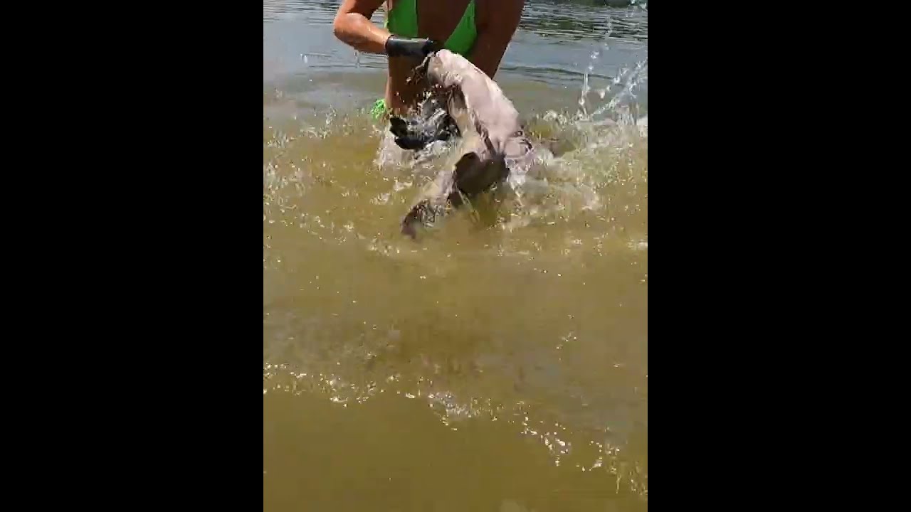 The Little Fish Fight Hardest Bama Noodling Alabama