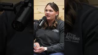 Beef Business Idea That Can Make You Rich #livestock #short #cattle #cow #farming #beeffarm #farmer