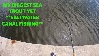 PB Sea Trout Caught! Saltwater **Canal fishing** by 24-7 Fishing 71 views 1 year ago 7 minutes, 30 seconds