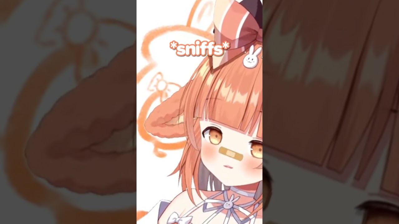 Introducing Miuna Usako's fanbase