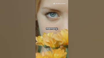 Unlocking memories with scents: the Proust effect explained #facts #brainfacts #factualchannel