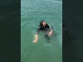 شما ننه رو از سیل میترسونین ای کی بی شما ننه رو از سیل میترسونین ای کی بی
