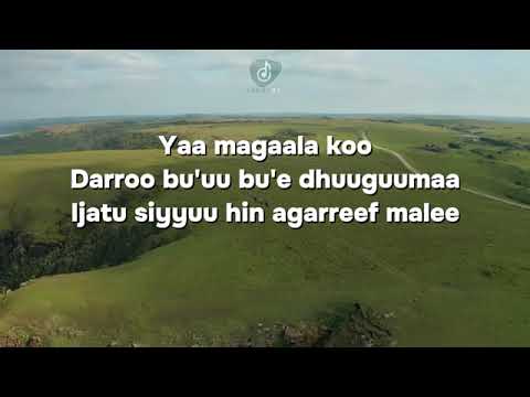 BILILLEE By Andualem Gosa New Oromo Music Official Music Video 2024