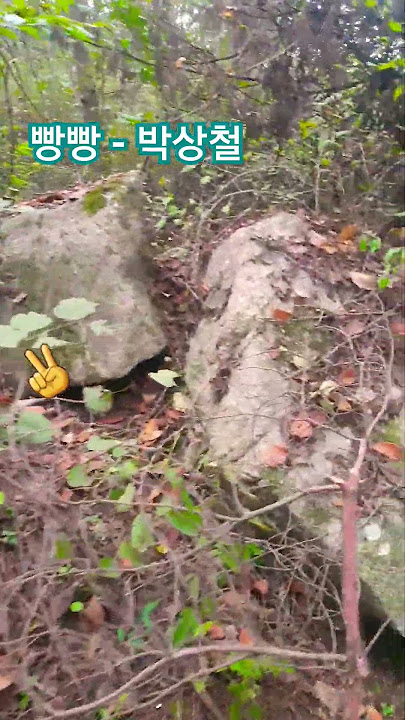 빵빵 - 박상철 (Bang Bang - Park Sang-chul) Korea's Best trot national male singer @changyuloh 🇰🇷