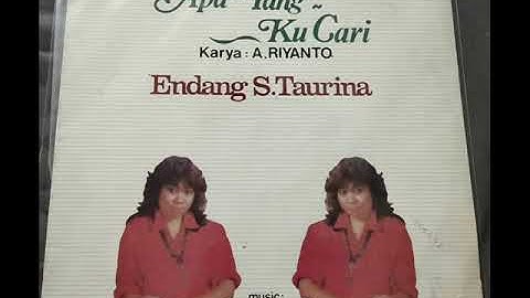 ENDANG S TAURINA