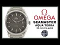 Omega Aqua Terra 38 mm - L&#39; Anti Datejust?