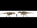 Acrocanthosaurus vs Tarbosaurus