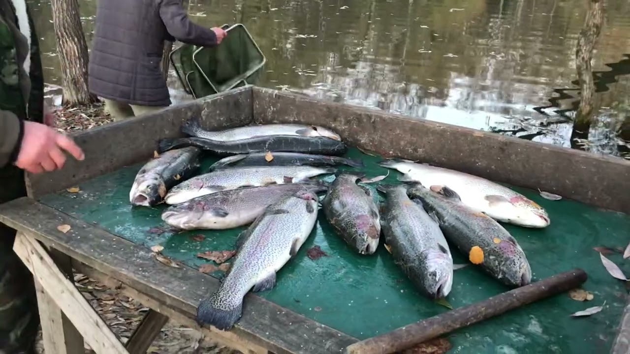 Водопад рыбалка видное русфишинг