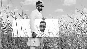 Patoranking - Lion In The Jungle [Official Video]