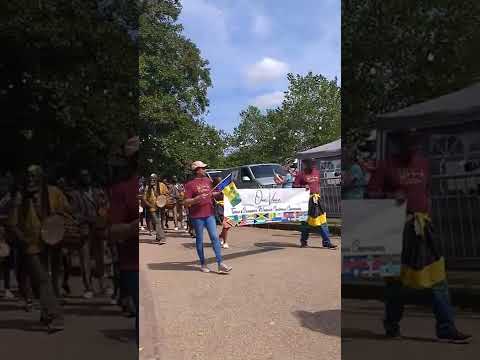 Telford carnival and