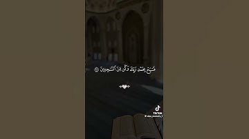تلاوة بصوت الشيخ فارس عباد #اكسبلور #يارب #دويتو #الرحمن #لايك #الصلاه #duet #الرقيه #تيك_توك