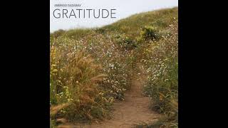 Amerigo Gazaway - Romance︱Gratitude