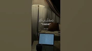 الذين صبروا و على ربهم يتوكلون | سورة العنكبوت الآية (59) | القارئ عبدالرحمن مسعد
