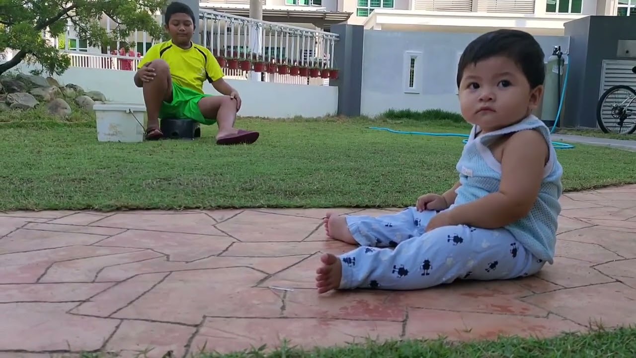 Kebun abah 2017-2019