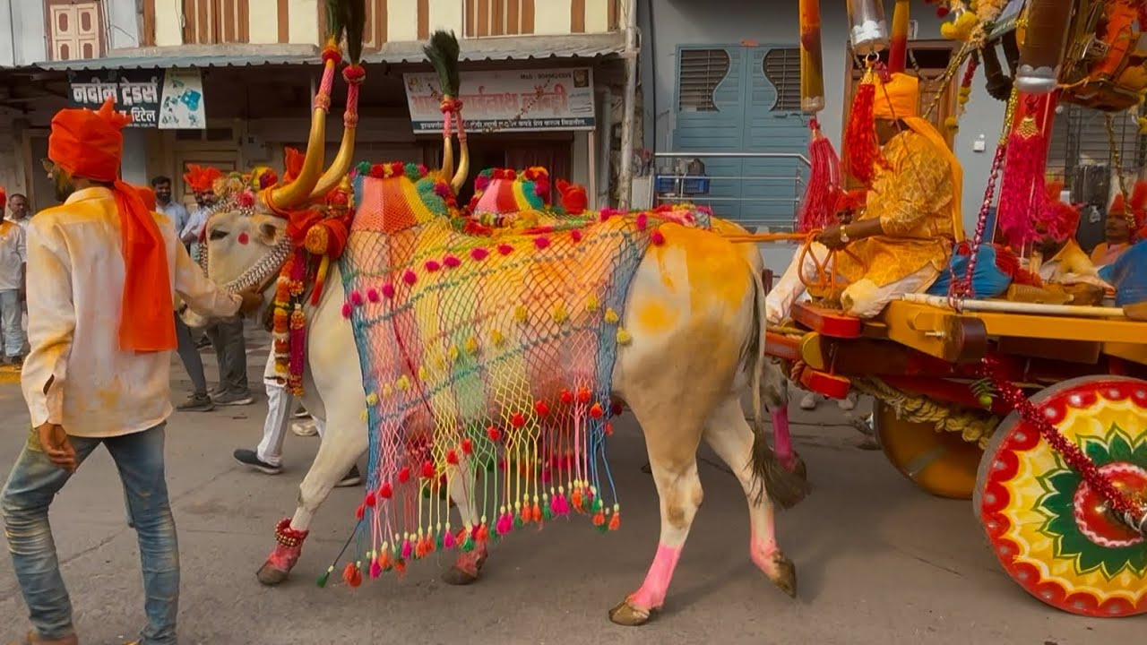 बैलरथ बैलगाडी | Big Bullock cart video | animals videos |pashu premi 