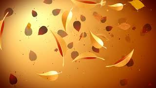 HD Particles Autumn Wind And Falling Leaves Warm Beautiful Video