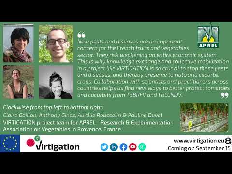 Meet the VIRTIGATION team: APREL - Research & Experimentation Association on Vegetables in Provence Meet the VIRTIGATION team: APREL - Research & Experimentation Association on Vegetables in Provence