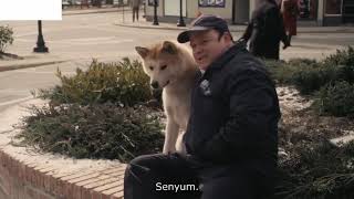 Hachi menunggu Tuannya yang telah tiada!!! Hachi A Dog's Tale - Sub Indo (Part 8)