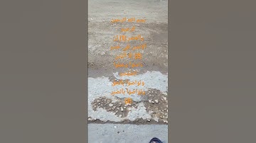 [والعصر إن الانسان لفى خسر]تلاوة هاديه للقارئ الشيخ ياسر الدوسري - Yasser El Dosary