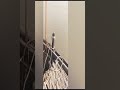 #india #love #new #videos #viral#nature #railway #poster #vairal👍❤️
