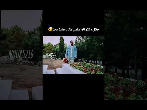 جلال مفكر انو سلمى ميتة اكسبلور