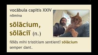 lēctūra quarta: Ablative Absolute; Passive Periphrastic; Dative of Agent (LTN 102)