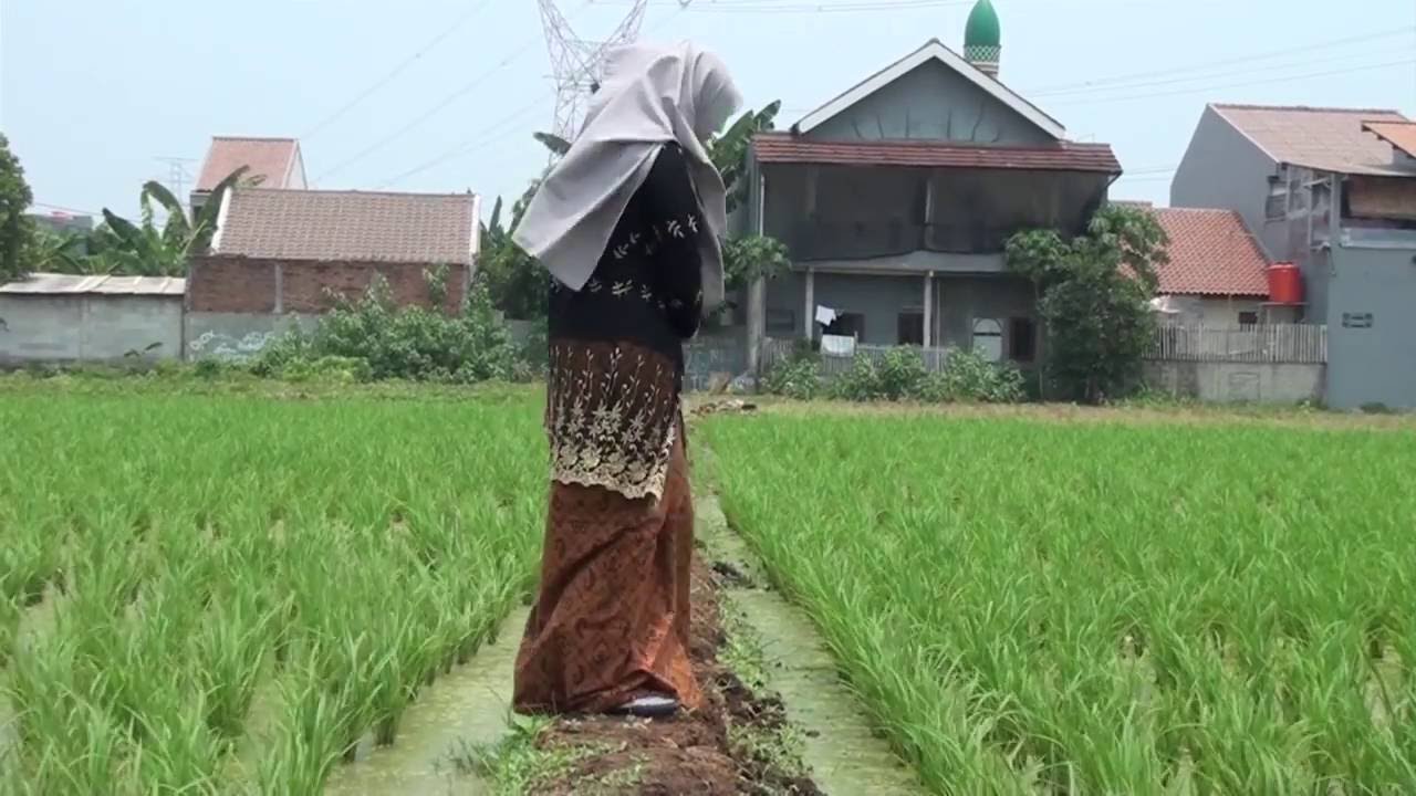 Cover Video Clip Lagu Sunda Mawar Bodas - Ismayanti hasanah - YouTube