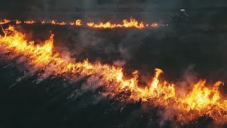 Controlled Burning Native Grasses For Whitetail Habitat in Indiana - The Management Advantage