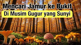 Suasana Mencari Jamur ke Bukit di Musim Gugur yang Indah di Swedia #WNI