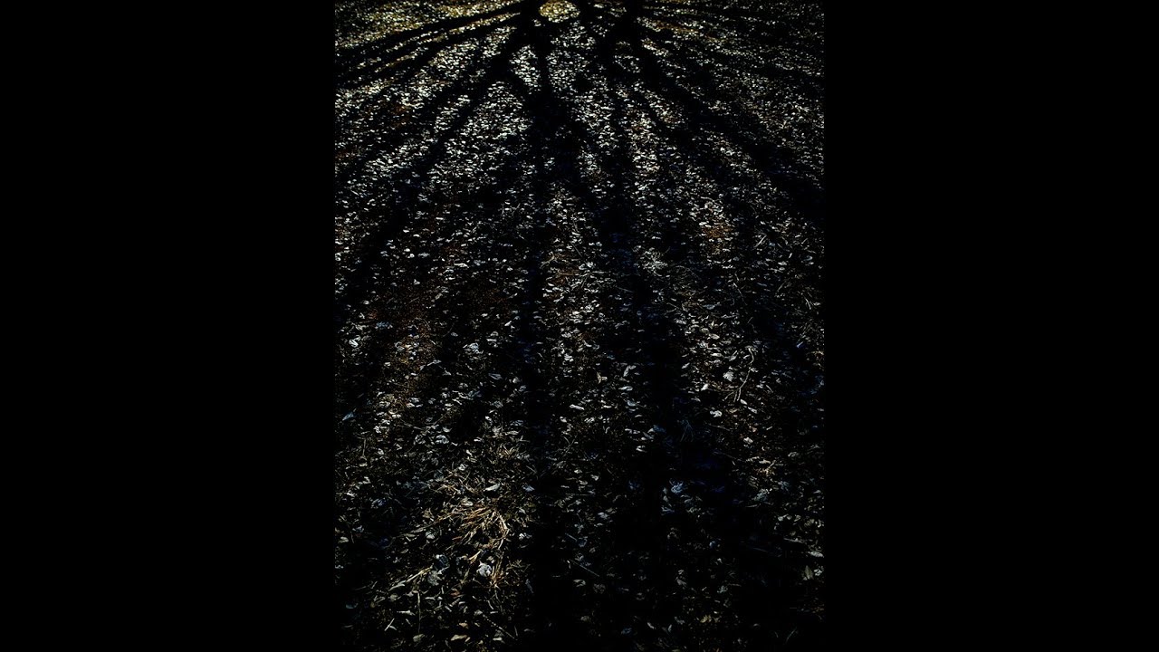 IN THE MIDDLE OF WINTER  II   20190117 / VACKSBOOK