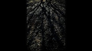 IN THE MIDDLE OF WINTER II 20190117 / VACKSBOOK