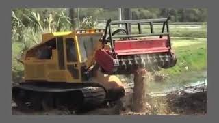 Geo-Boy in Florida - R.O.W.  Clearing - Part 1