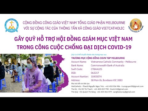 Video: Dòng Cứu Trợ