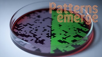 Cellulaire automaten: ondode patronen en de fysica van opkomst