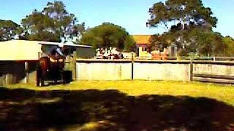 Picking me up from the fence