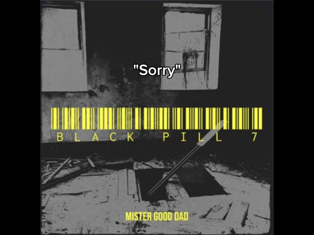 Mister Good Dad - Sorry class=