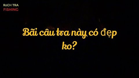 BÃI CÂU CÁ TRA SÔNG SÀI GÒN