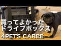 【パグ犬 炭鈴】日本発売中☆買ってよかった超安全なスイス製ドライブボックス | DOG TRANSPORT BOX 4PETS CAREE | Pug