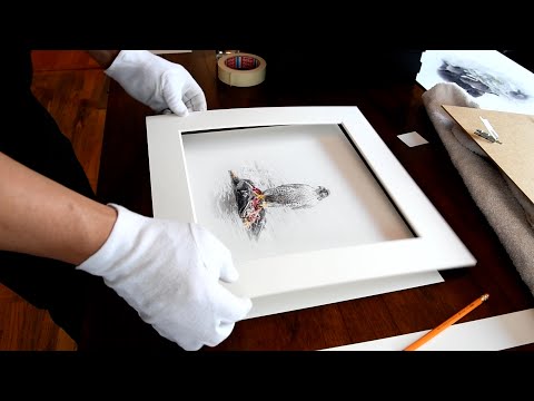 Video: Die kunstenaar wat op papier werk. Paper Cuts deur Julene Harrison