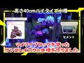 【サンゴライブロックレイアウト海水魚水槽】マメライブロックとプレートタイプを組み合わせて立体的なサンゴ水槽を立ち上げました。LED照明にサンゴ飼育可能なZOOX リーフナノミニを使用。小型水槽