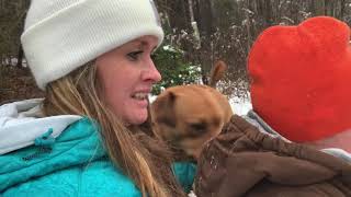 Snow in South Carolina! FARM LIFE - if you sled, watch out for cow patties!