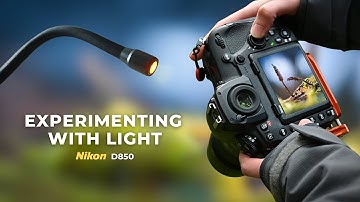 Macro Lighting Experiment: Natural vs Artificial