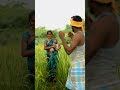 Trending recreation  soru kondu porapulla  deepi version chithudeepivlogs trending shorts