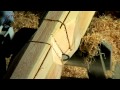 Latlaft Log House Production /  Lafting av Tømmerhytter