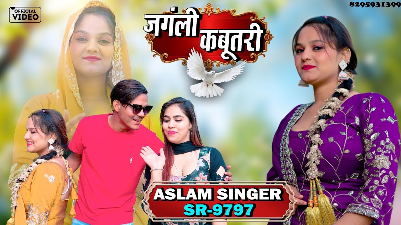 ASLAM SINGER SR 9797 NEW ( जंगली कबूतरी ) NEW LATEST MEWATI 4K OFFICIAL VIDEO SONG / DIGITAL MEWAT