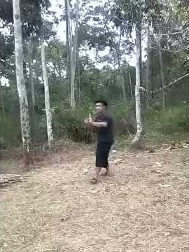 Jurus kunyuk melempar buah