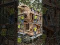 Home renovation timelapse constr… #transformation #infrastructure