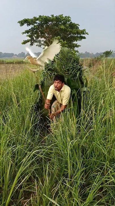 The🦩🙏🦩 extraordinary🌿🛖🥀 hunter in the phone garden