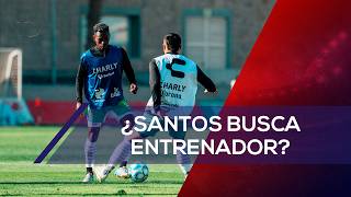 Santos Laguna Está Buscando Entrenador?